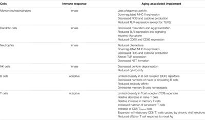 Patho-Physiology of Aging and Immune-Senescence: Possible Correlates With Comorbidity and Mortality in Middle-Aged and Old COVID-19 Patients